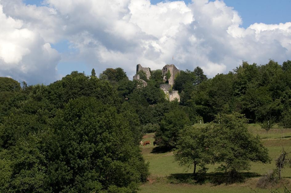 Ansicht der Burg Badenweiler