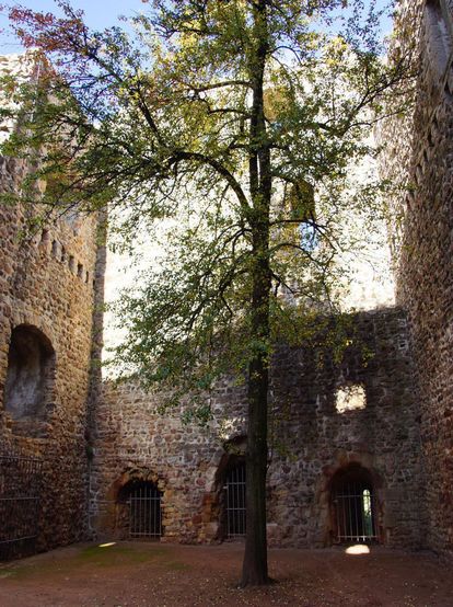 Teilansicht der Burg Badenweiler
