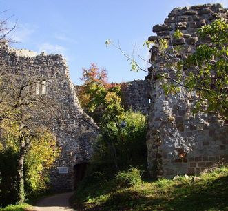 Teilansicht der Burg Badenweiler