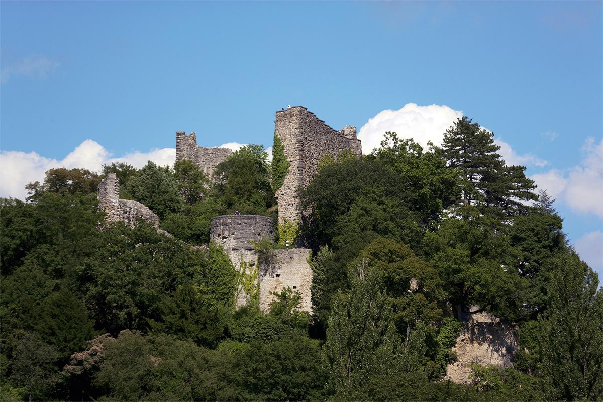 Ansicht der Burg Badenweiler