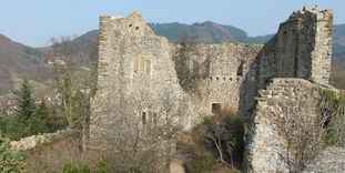 Ansicht der Burg Badenweiler