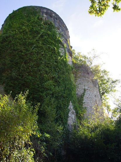 Teilansicht der Burg Badenweiler