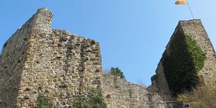 Aufsicht zur Burgruine Badenweiler