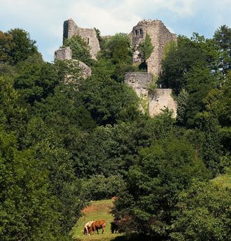 Ansicht der Burg Badenweiler