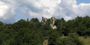 Ansicht der Burg Badenweiler