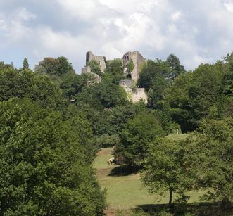 Fernansicht der Burg Badenweiler